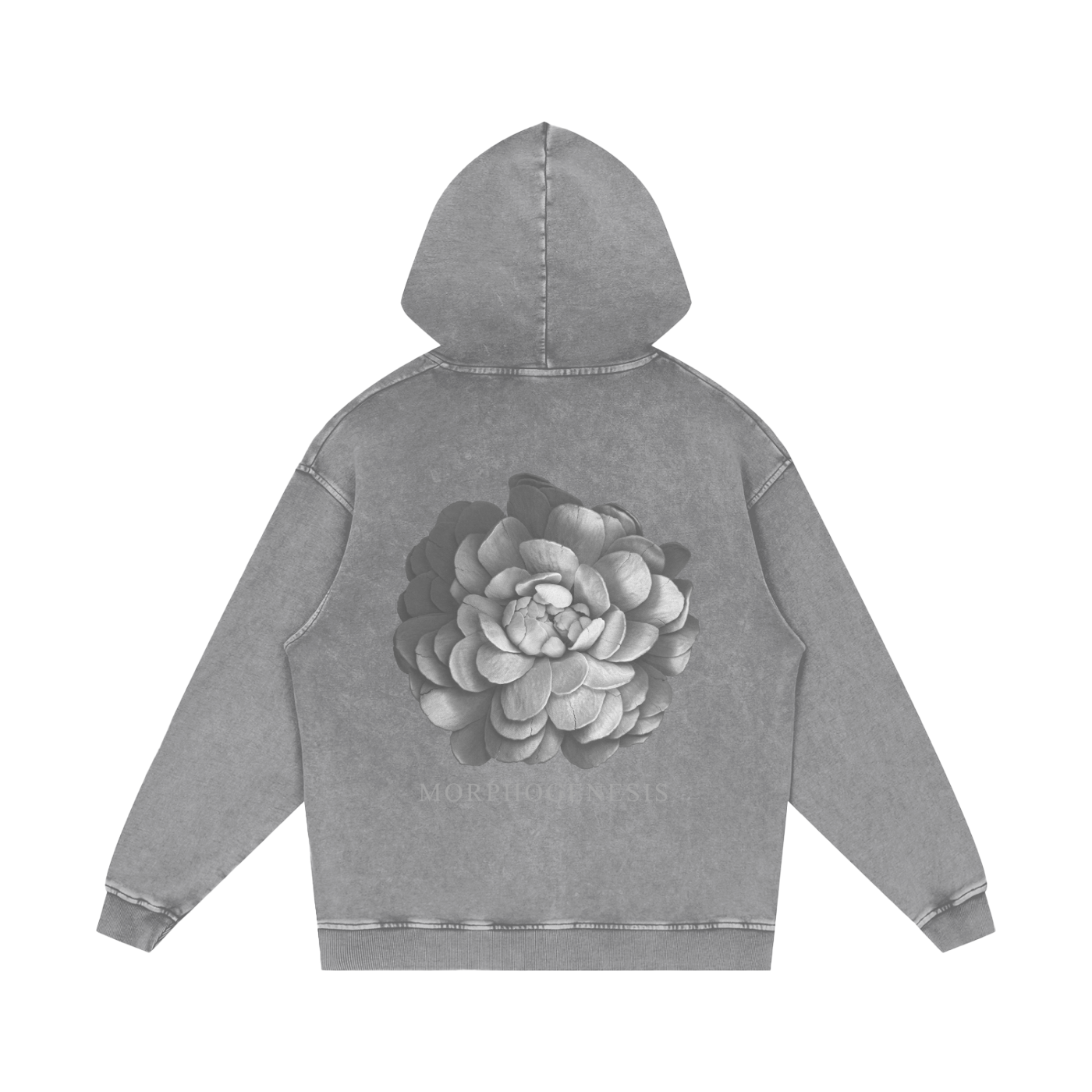 Morphogenesis Hoodie