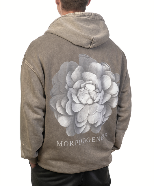 Morphogenesis Hoodie